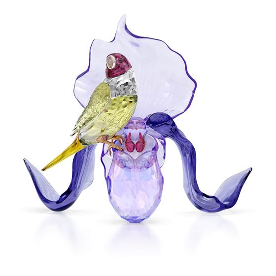 Idyllia Passarinho de Gouldian e Orquídea | Swarovski - Swarovski BR