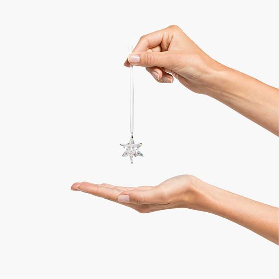 Estrela-decorativa-brilhante-pequena